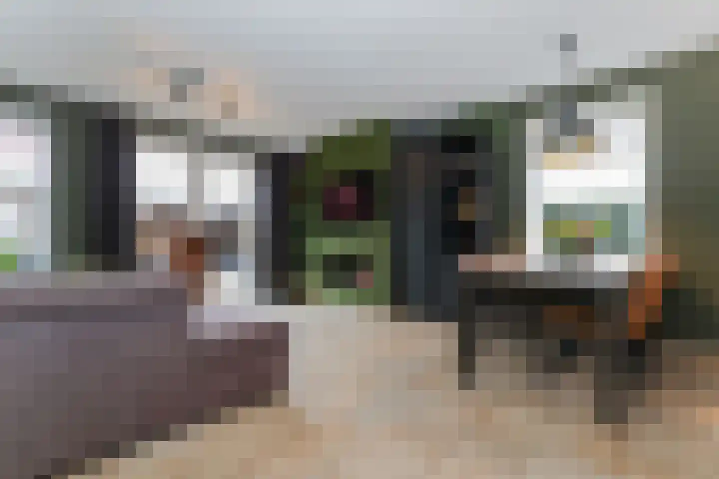 Berkenblad 19 Oostvoorne thumbnail 21