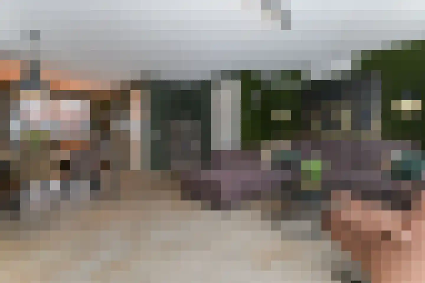 Berkenblad 19 Oostvoorne thumbnail 23