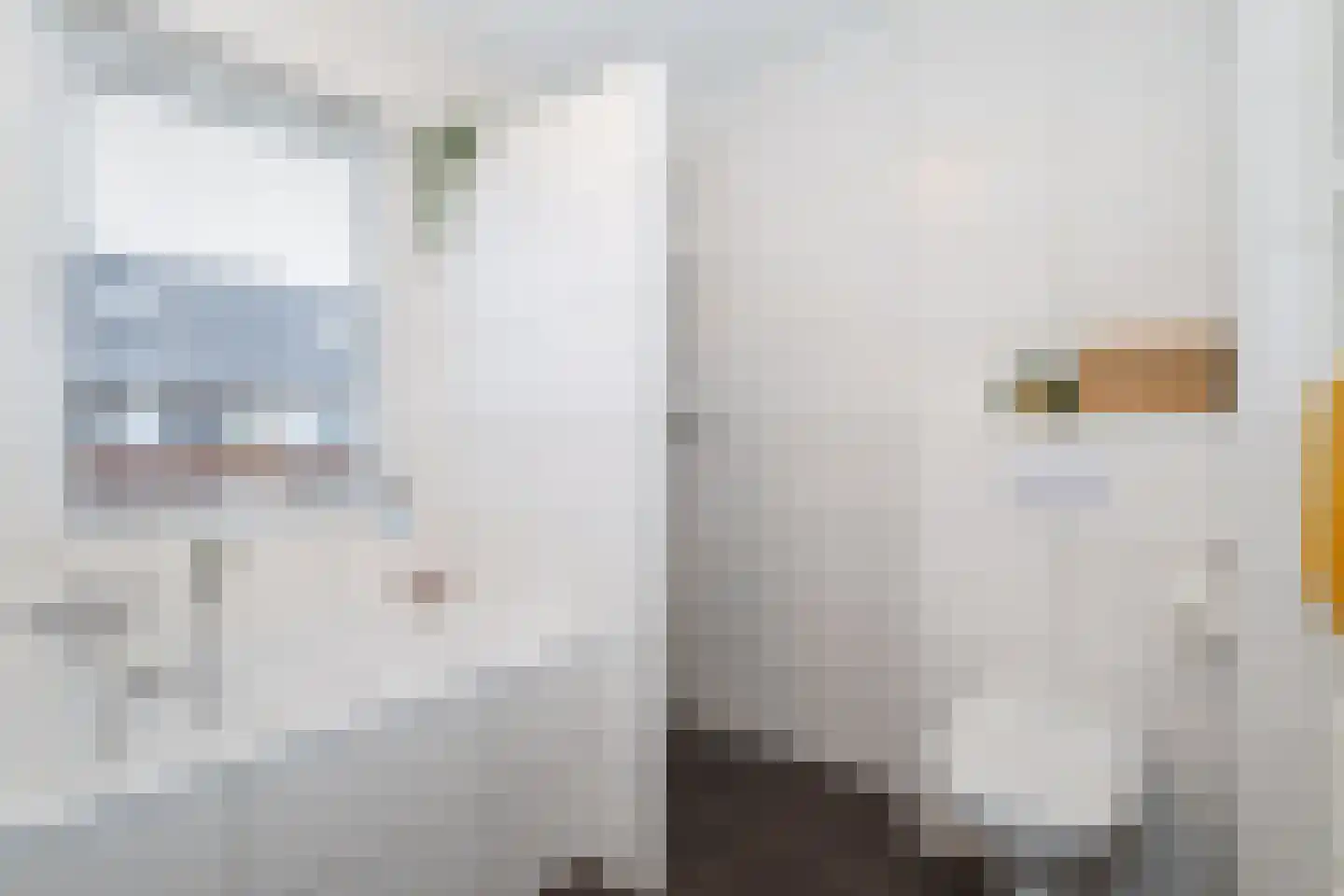 Berkenblad 19 Oostvoorne thumbnail 35