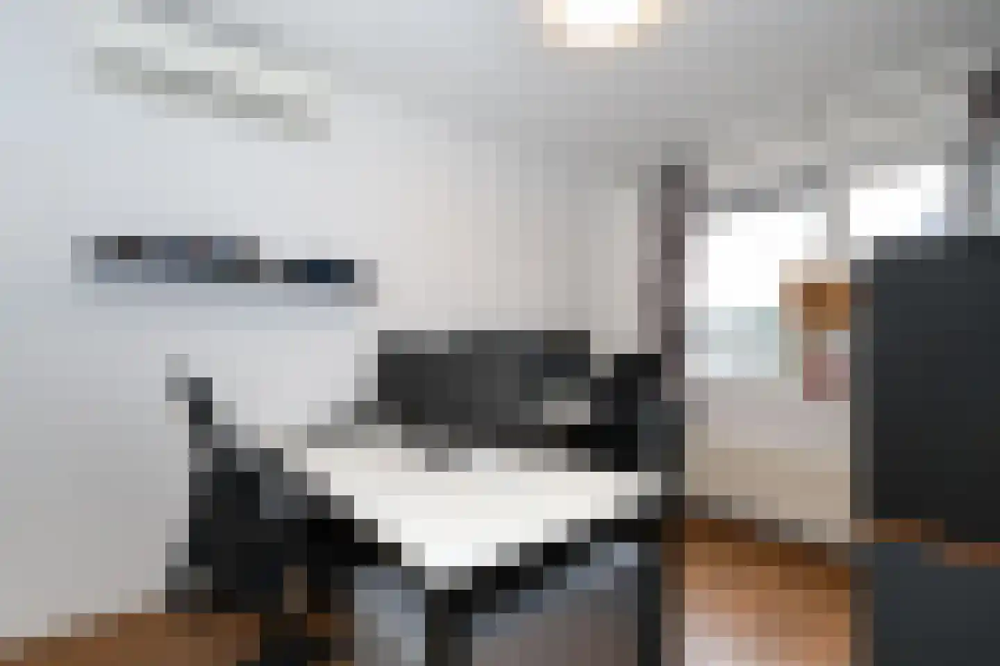 Berkenblad 19 Oostvoorne thumbnail 36