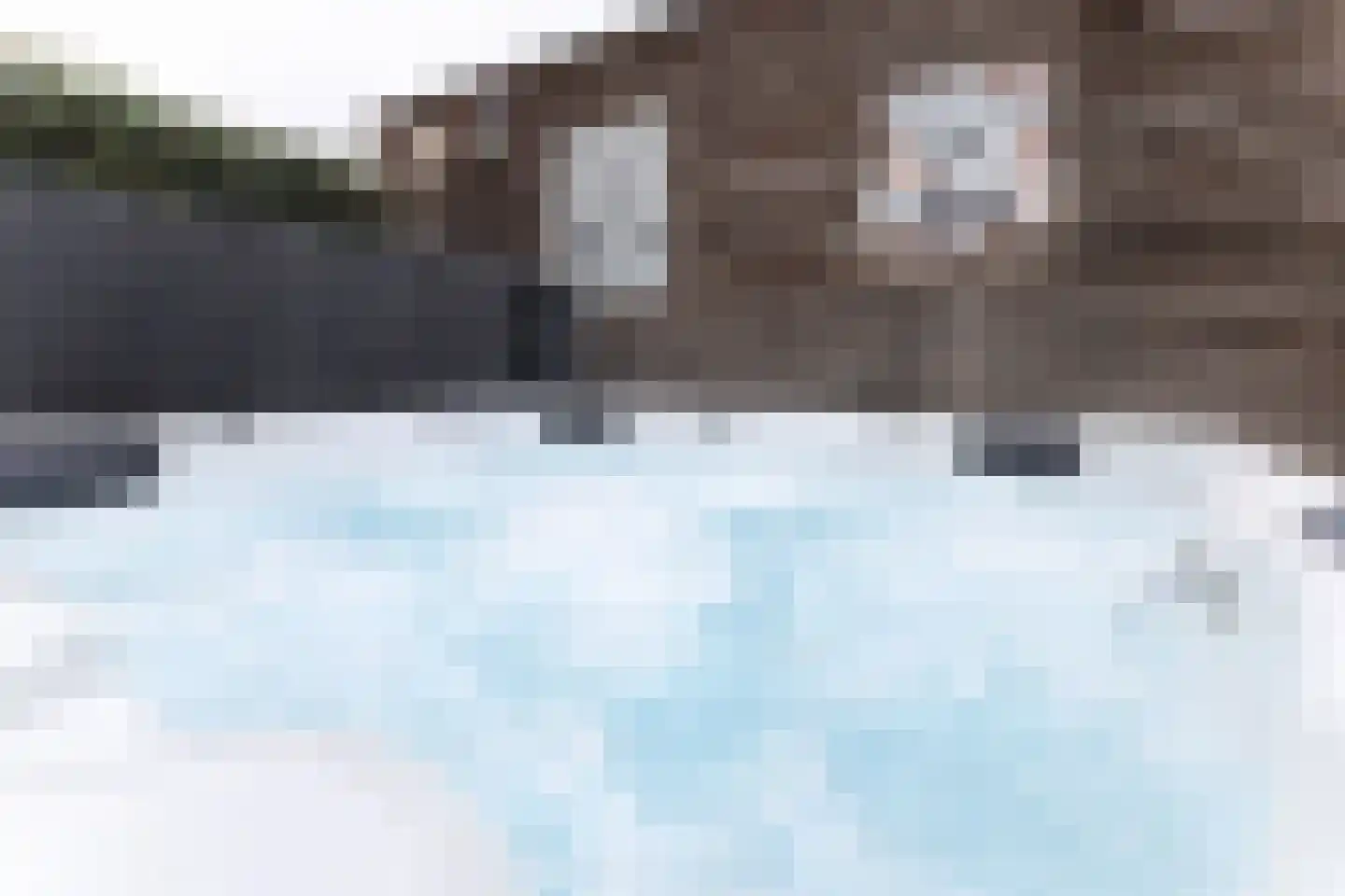 Berkenblad 19 Oostvoorne thumbnail 4