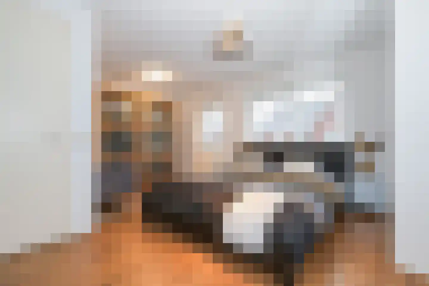 Berkenblad 19 Oostvoorne thumbnail 40