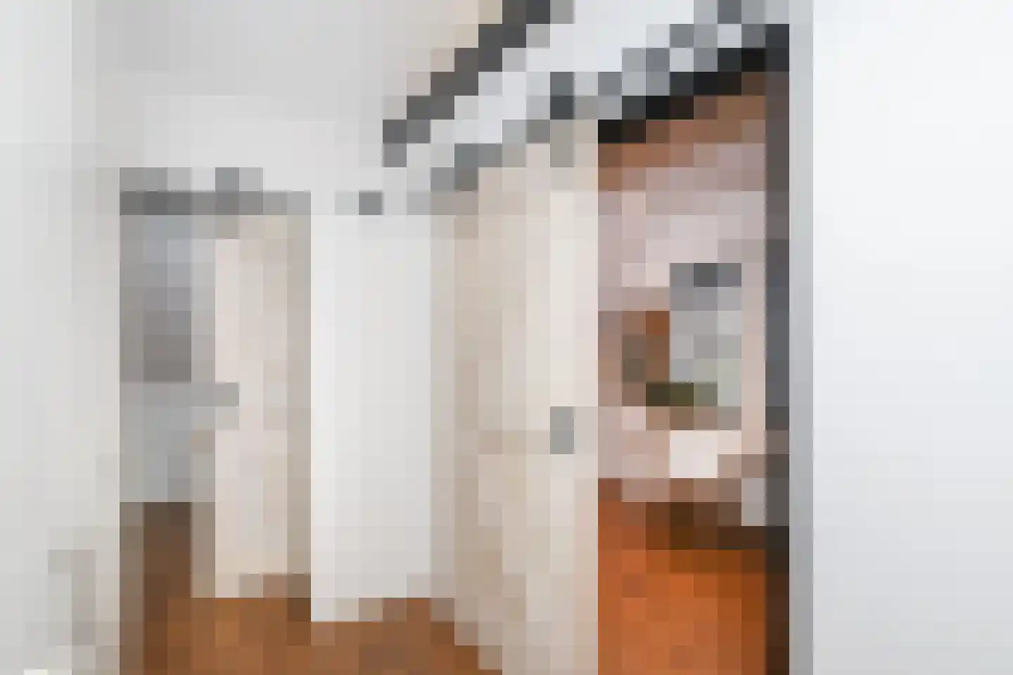 Berkenblad 19 Oostvoorne thumbnail 45