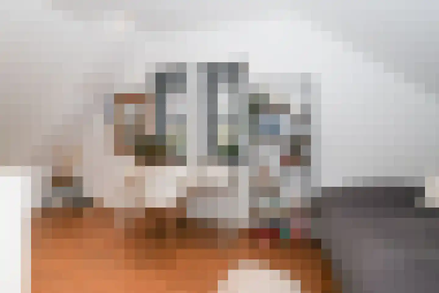 Berkenblad 19 Oostvoorne thumbnail 46