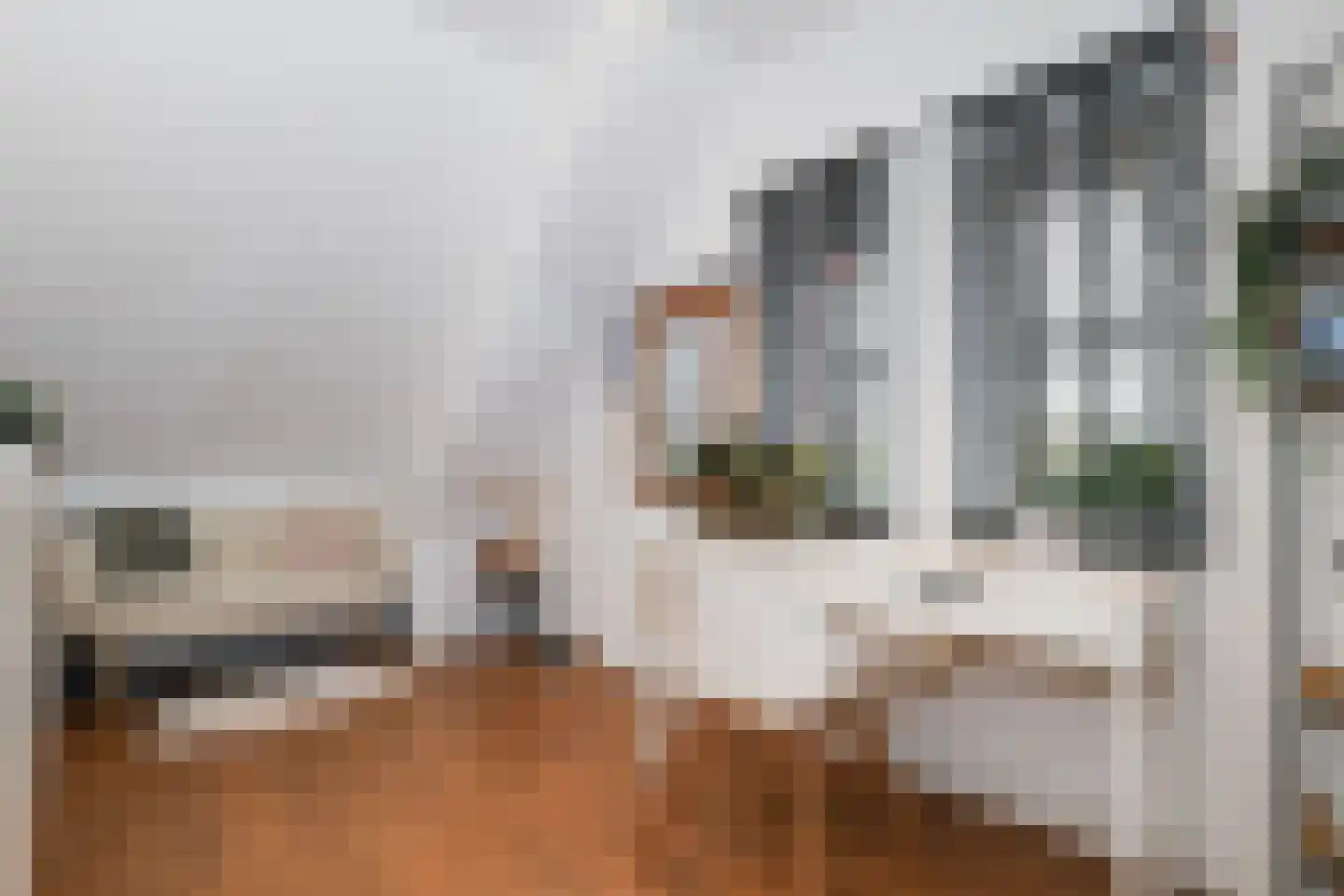 Berkenblad 19 Oostvoorne thumbnail 47