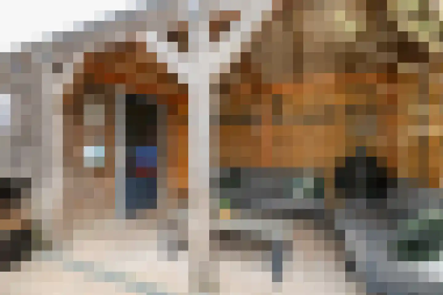 Berkenblad 19 Oostvoorne thumbnail 55