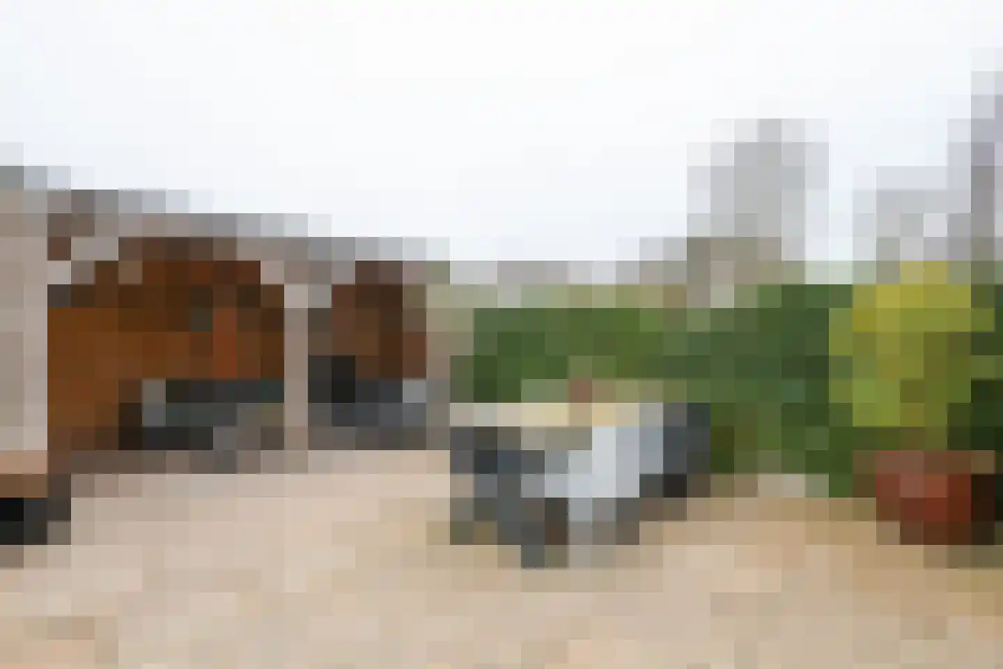 Berkenblad 19 Oostvoorne thumbnail 56