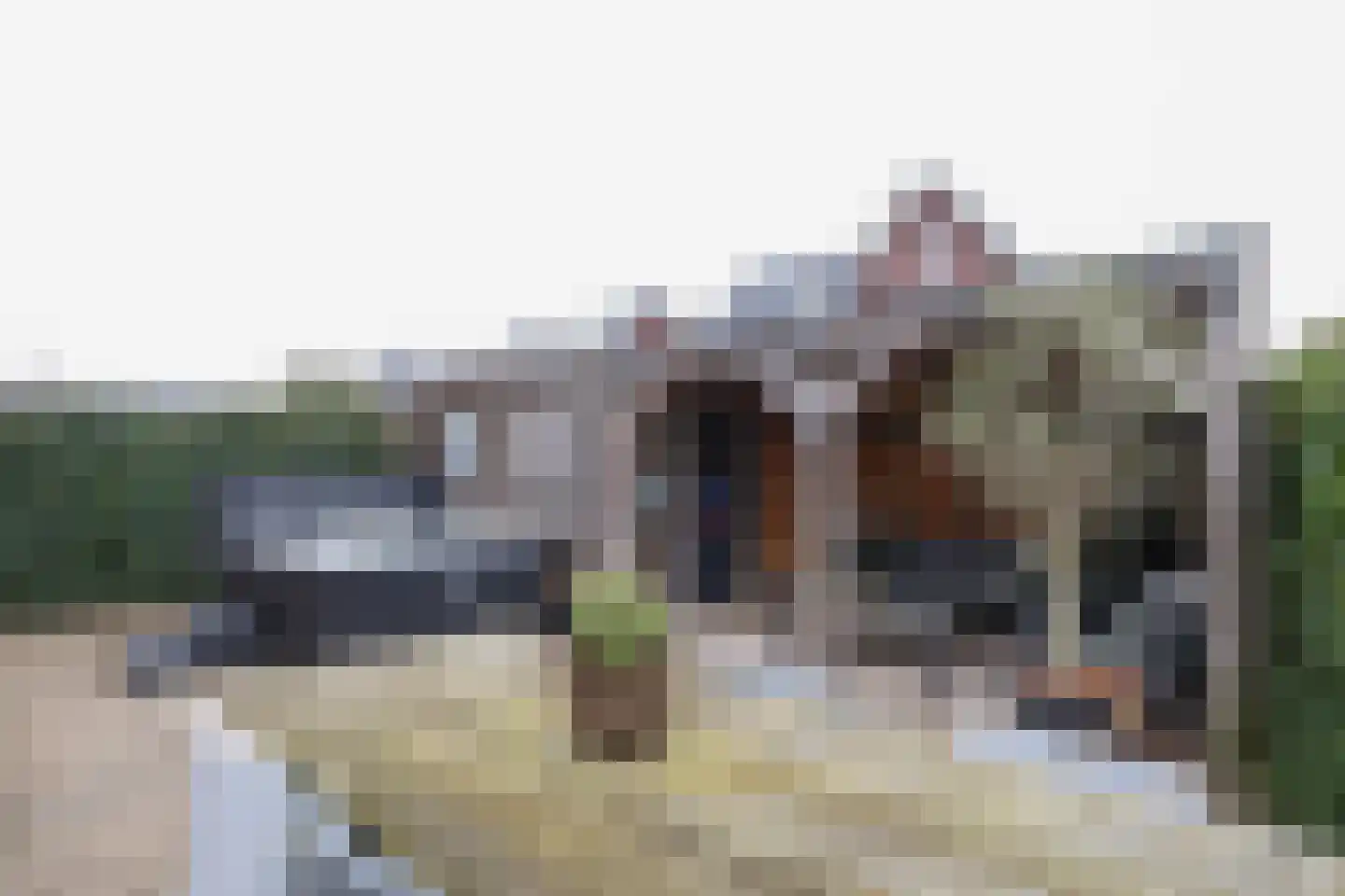 Berkenblad 19 Oostvoorne thumbnail 57