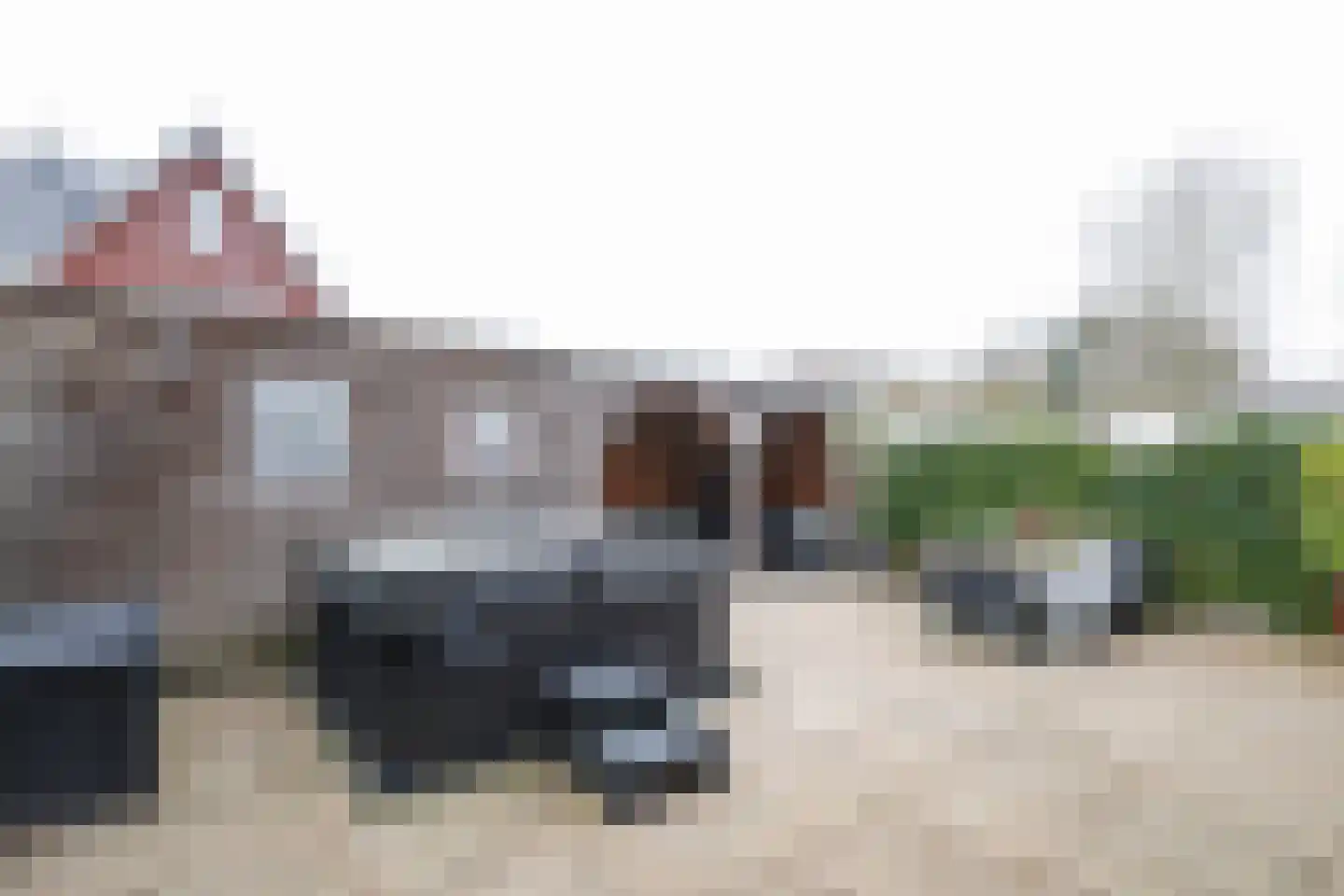 Berkenblad 19 Oostvoorne thumbnail 58