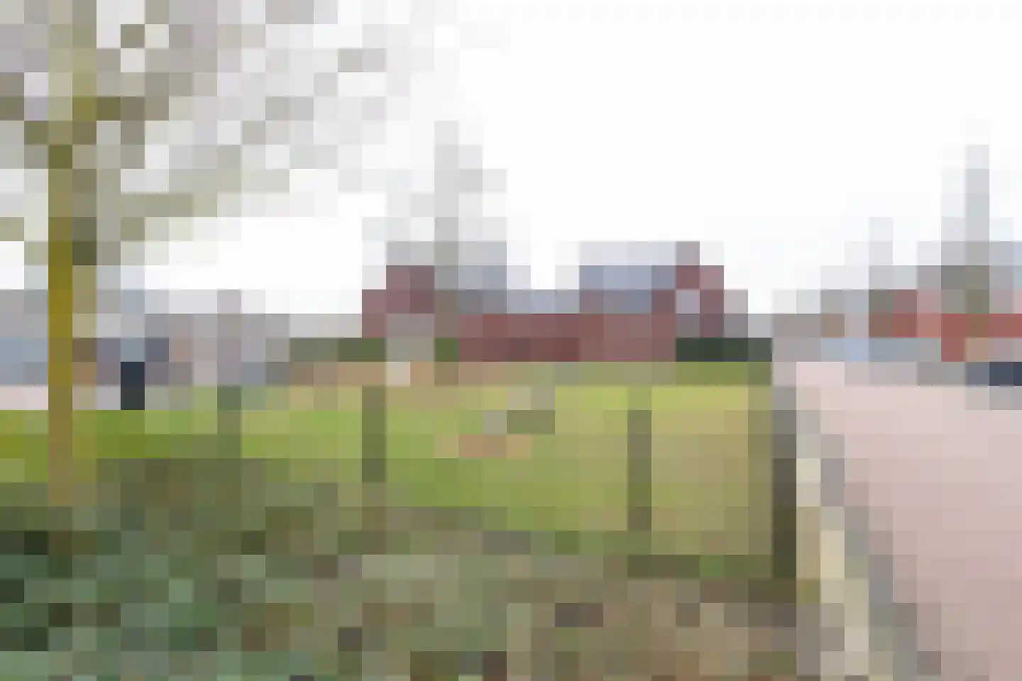 Berkenblad 19 Oostvoorne thumbnail 62