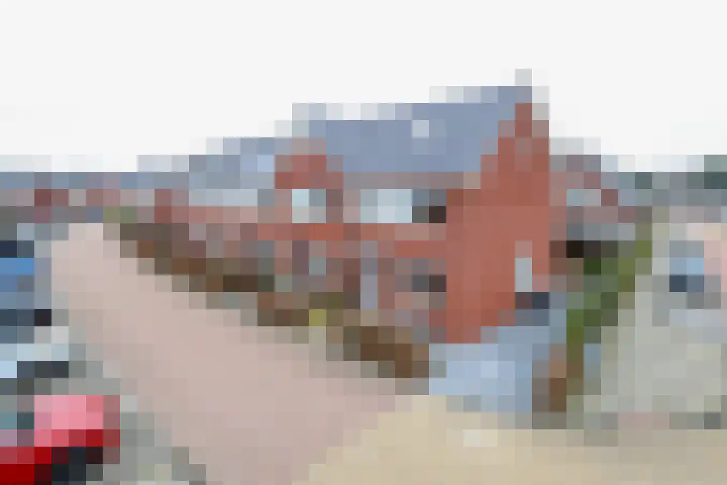 Berkenblad 19 Oostvoorne thumbnail 8