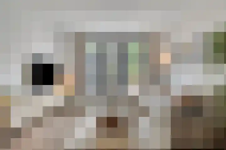 Berkenbos 8 Veldhoven thumbnail 10