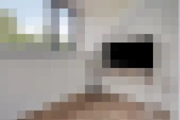 Berkenbos 8 Veldhoven thumbnail 25