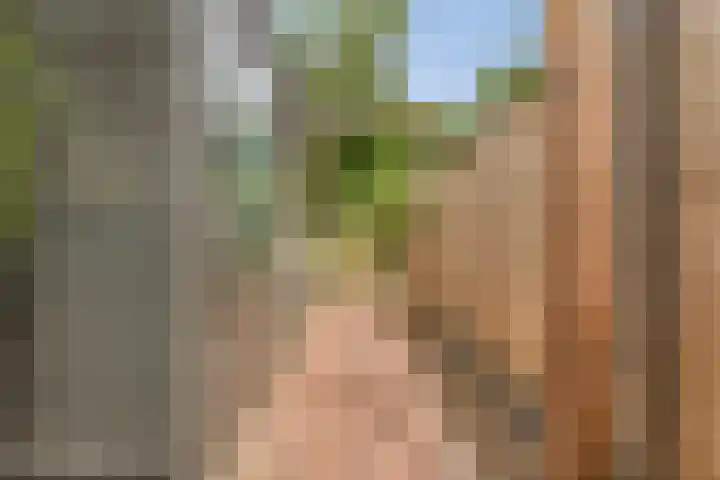 Berkenbos 8 Veldhoven thumbnail 28