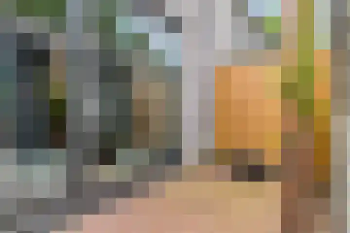 Berkenbos 8 Veldhoven thumbnail 29