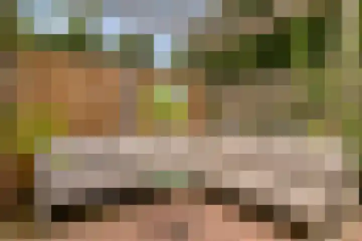 Berkenbos 8 Veldhoven thumbnail 30
