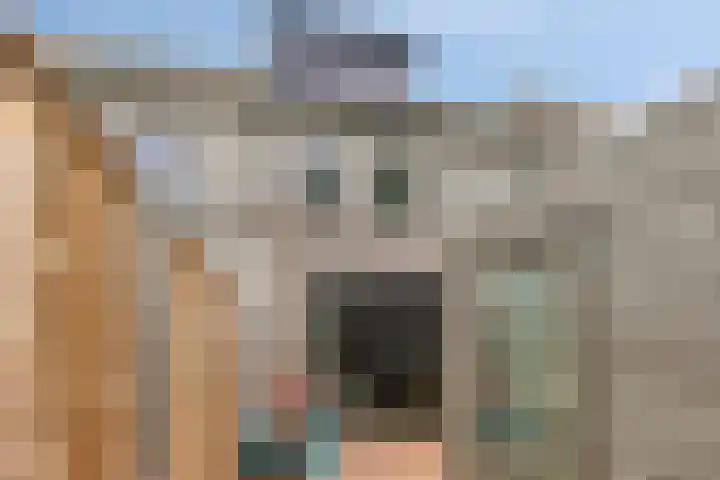 Berkenbos 8 Veldhoven thumbnail 32