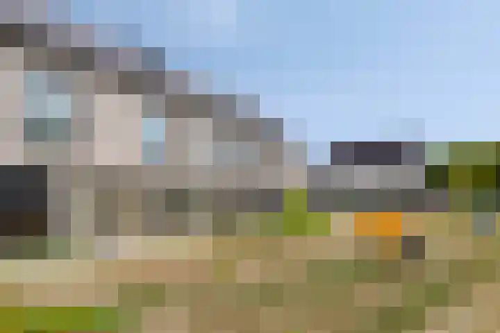 Berkenbos 8 Veldhoven thumbnail 6