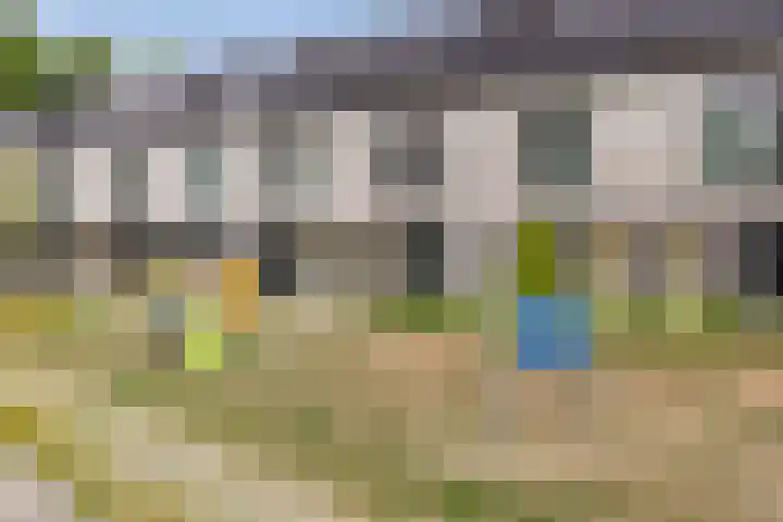Berkenbos 8 Veldhoven thumbnail 8