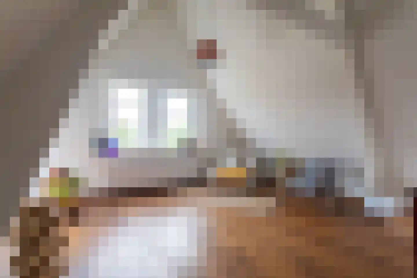 Berkenbosch Blokstraat 13 D Den Haag thumbnail 4