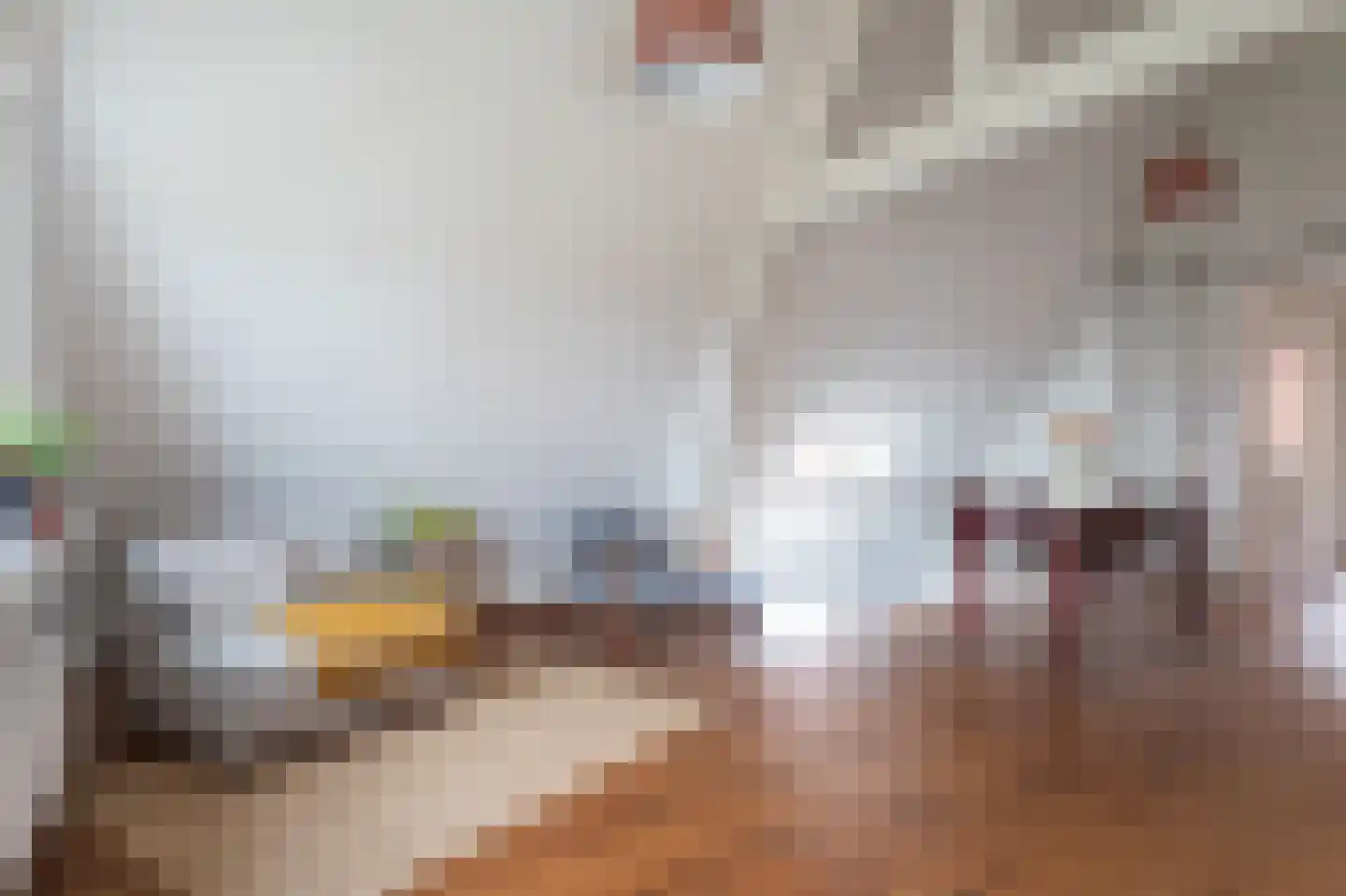 Berkenbosch Blokstraat 13 D Den Haag thumbnail 5