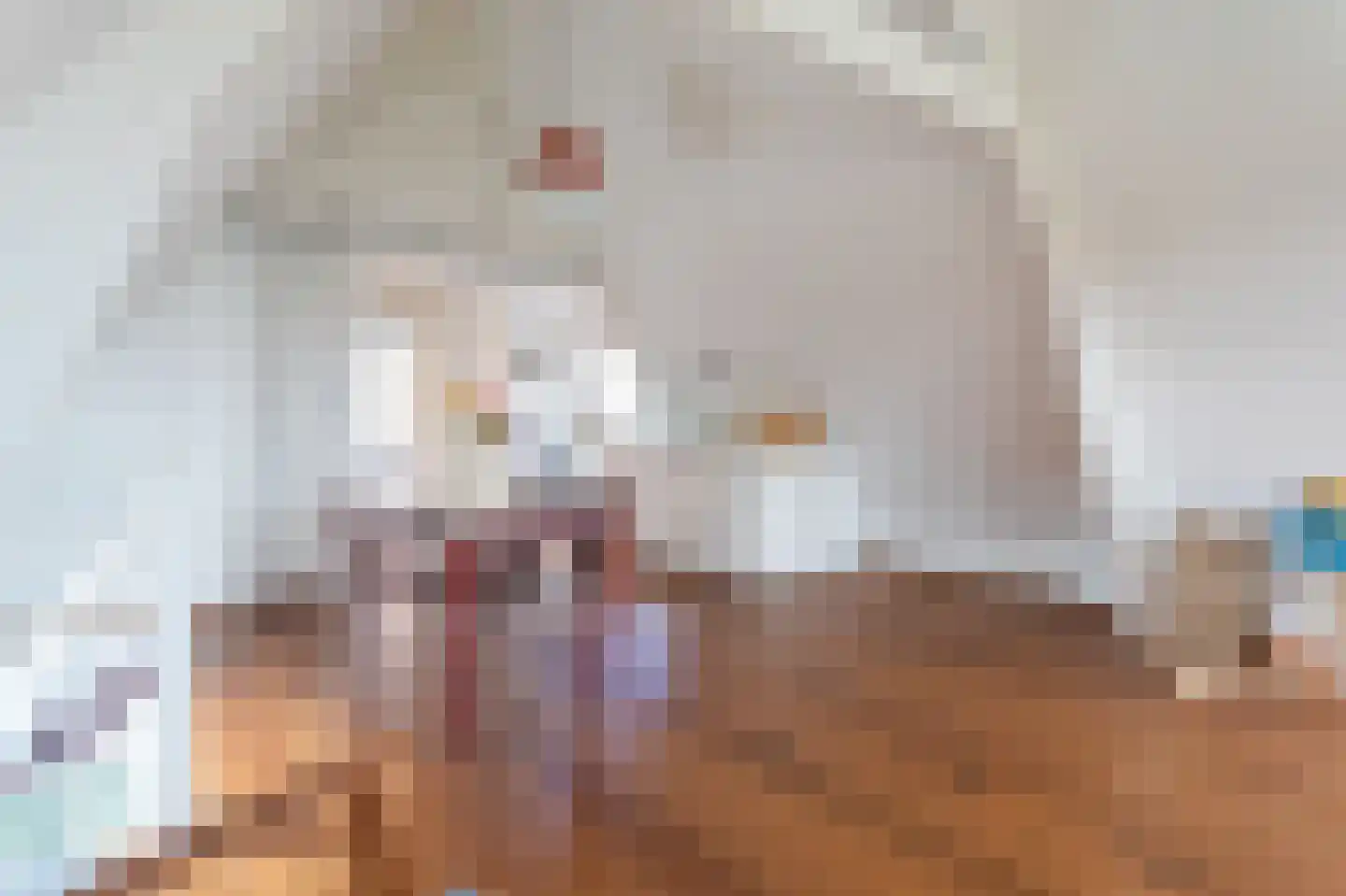 Berkenbosch Blokstraat 13 D Den Haag thumbnail 6