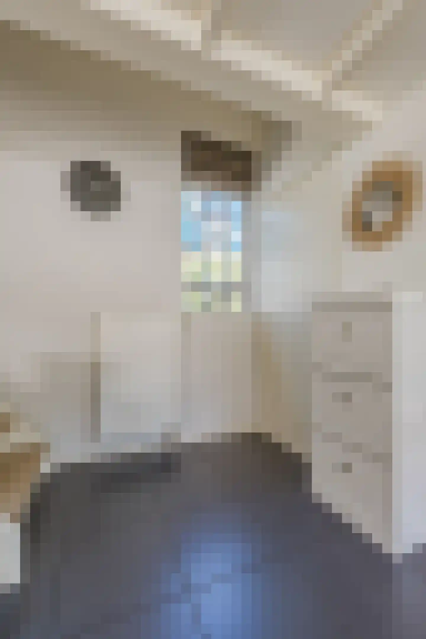 Berkenbosch Blokstraat 2 Den Haag thumbnail 11