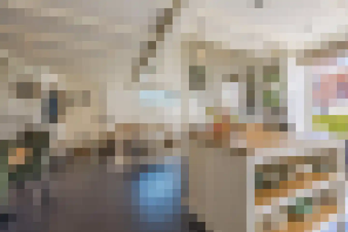 Berkenbosch Blokstraat 2 Den Haag thumbnail 15