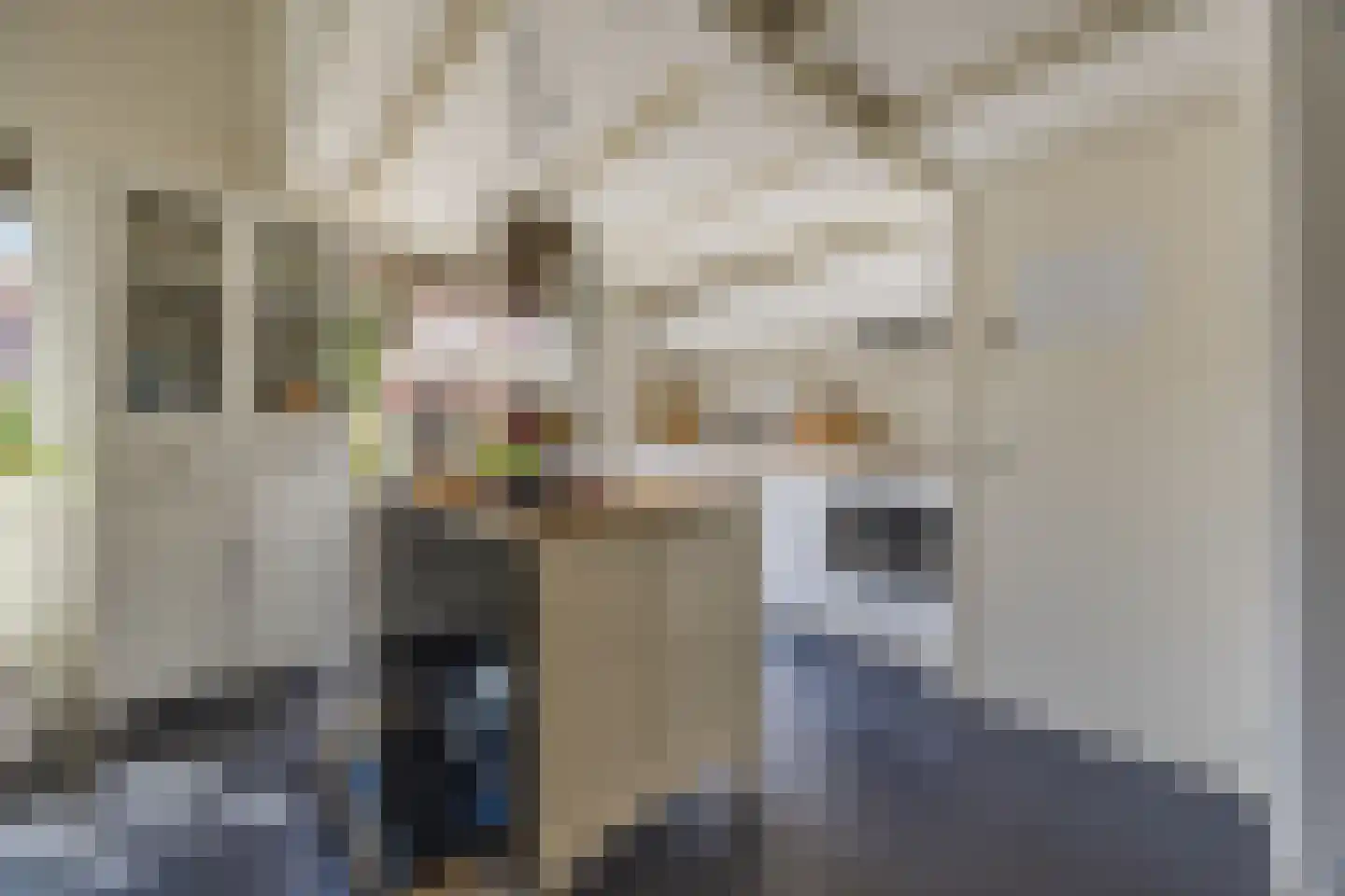 Berkenbosch Blokstraat 2 Den Haag thumbnail 16