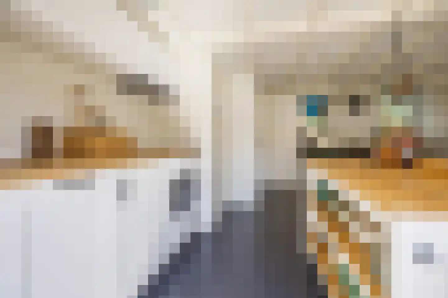 Berkenbosch Blokstraat 2 Den Haag thumbnail 18