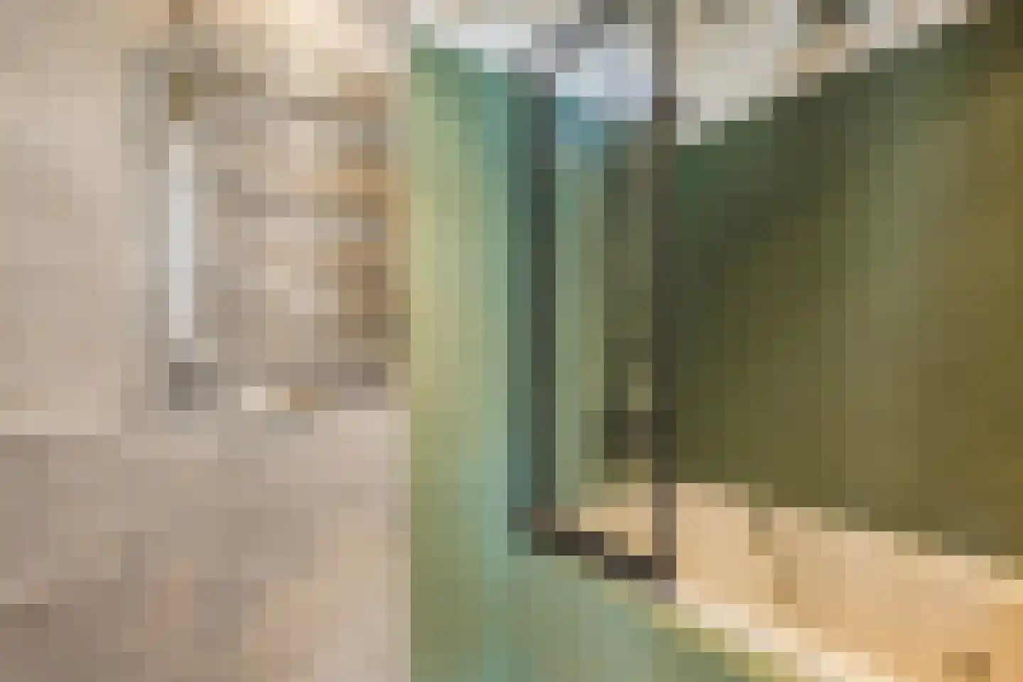 Berkenbosch Blokstraat 2 Den Haag thumbnail 23