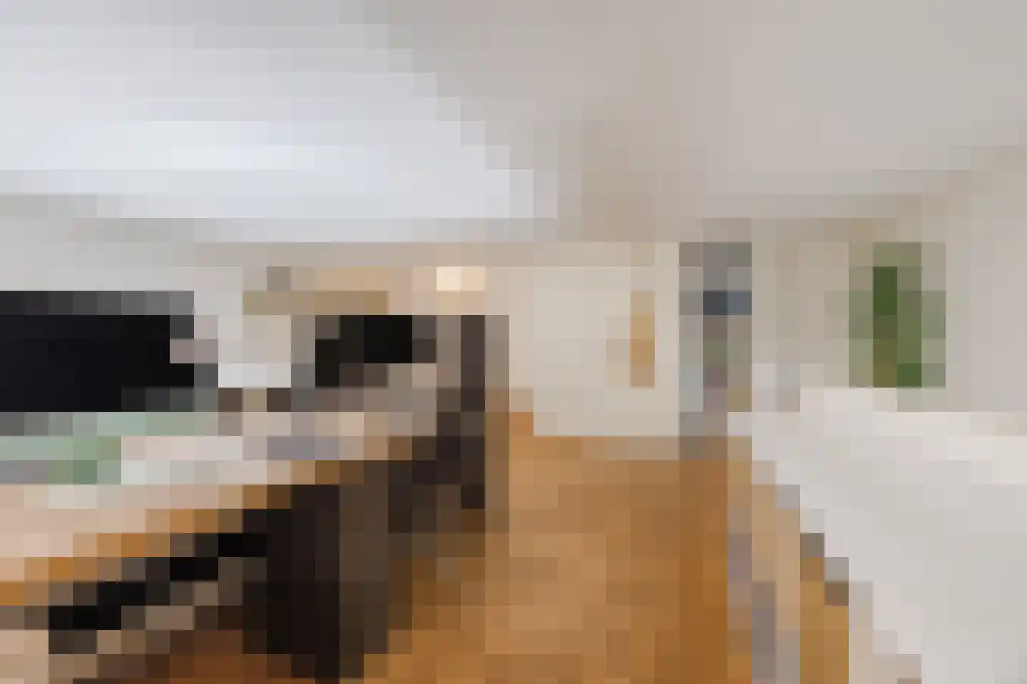 Berkenbosch Blokstraat 2 Den Haag thumbnail 31