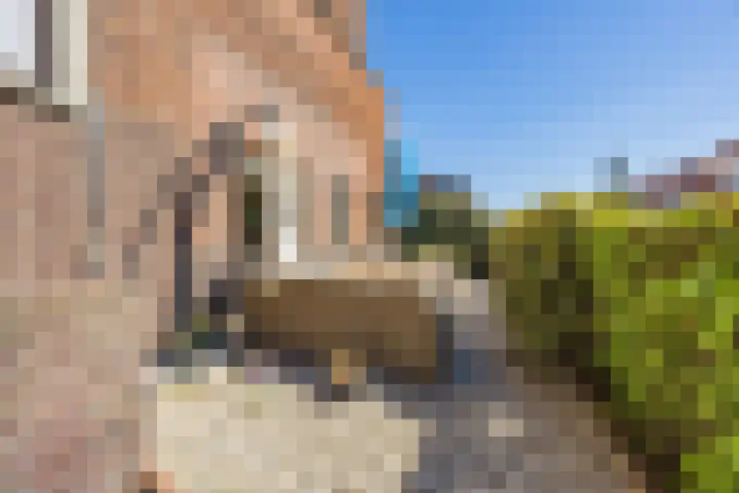 Berkenbosch Blokstraat 2 Den Haag thumbnail 35