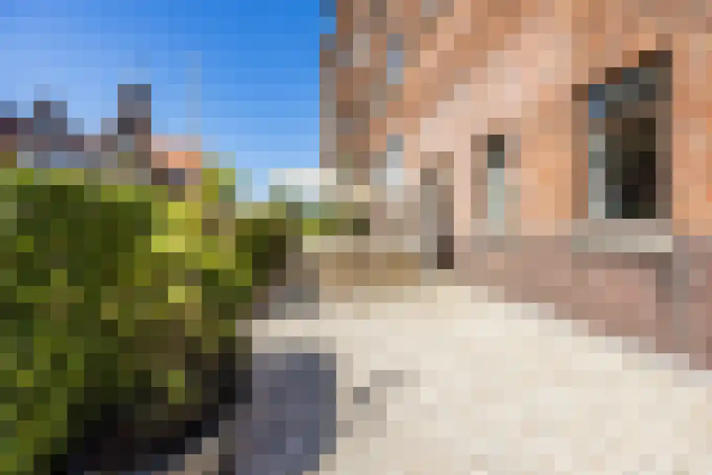 Berkenbosch Blokstraat 2 Den Haag thumbnail 5