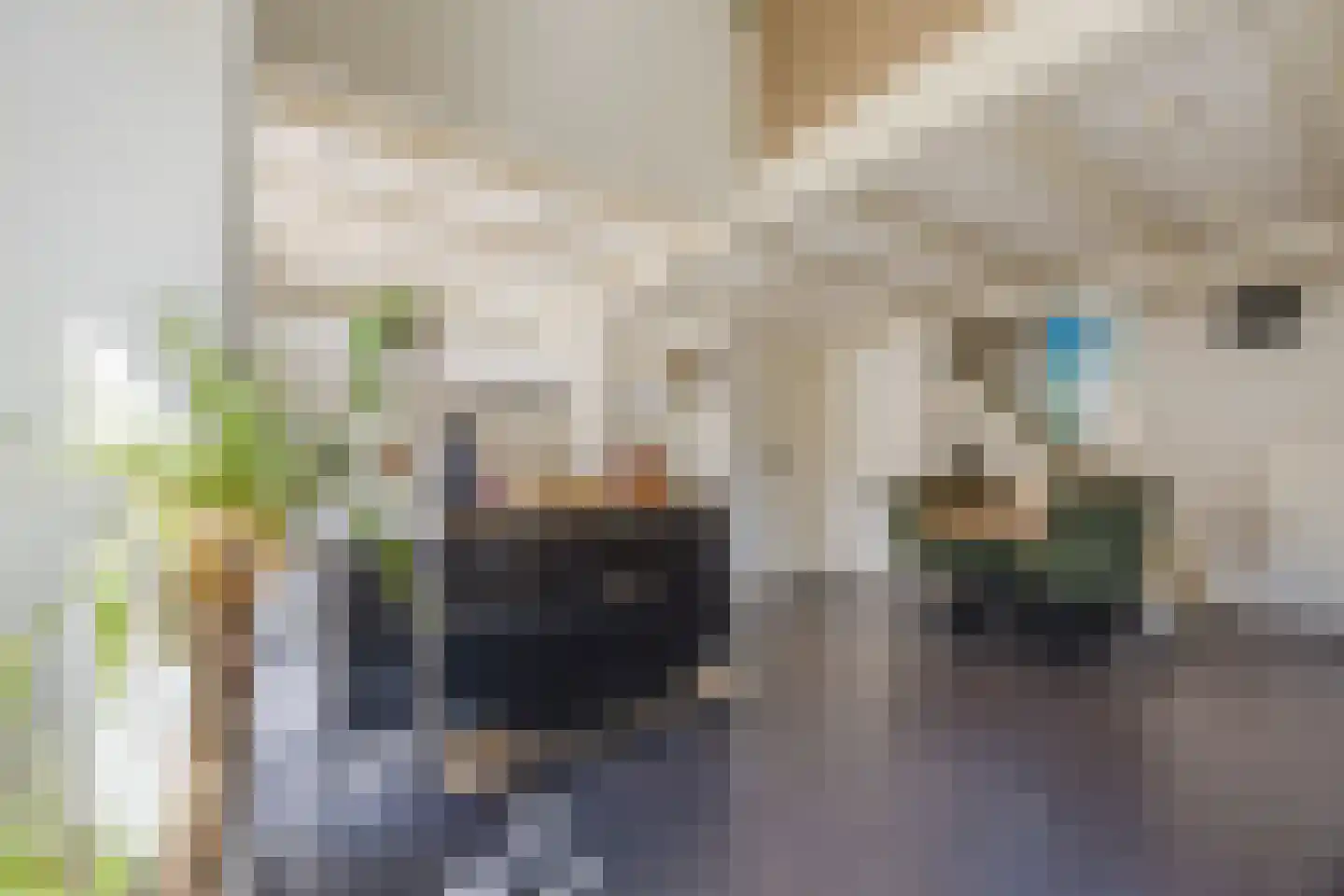 Berkenbosch Blokstraat 2 Den Haag thumbnail 8