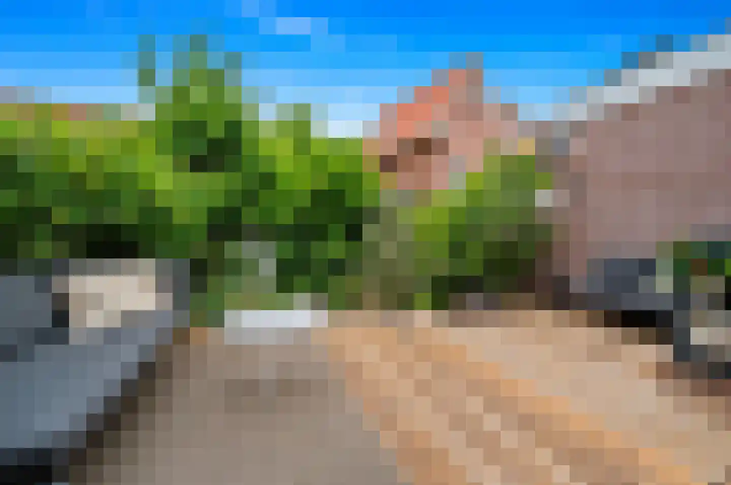 Berkenbosch Blokstraat 29 Den Haag thumbnail 21