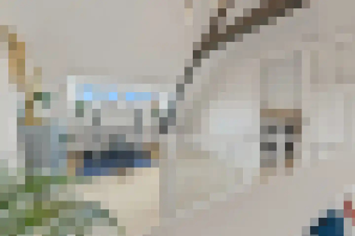 Berkenbosch Blokstraat 29 Den Haag thumbnail 46
