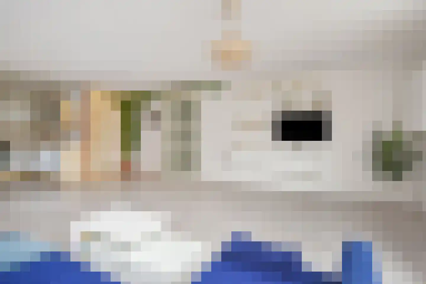 Berkenbosch Blokstraat 81 Den Haag thumbnail 5