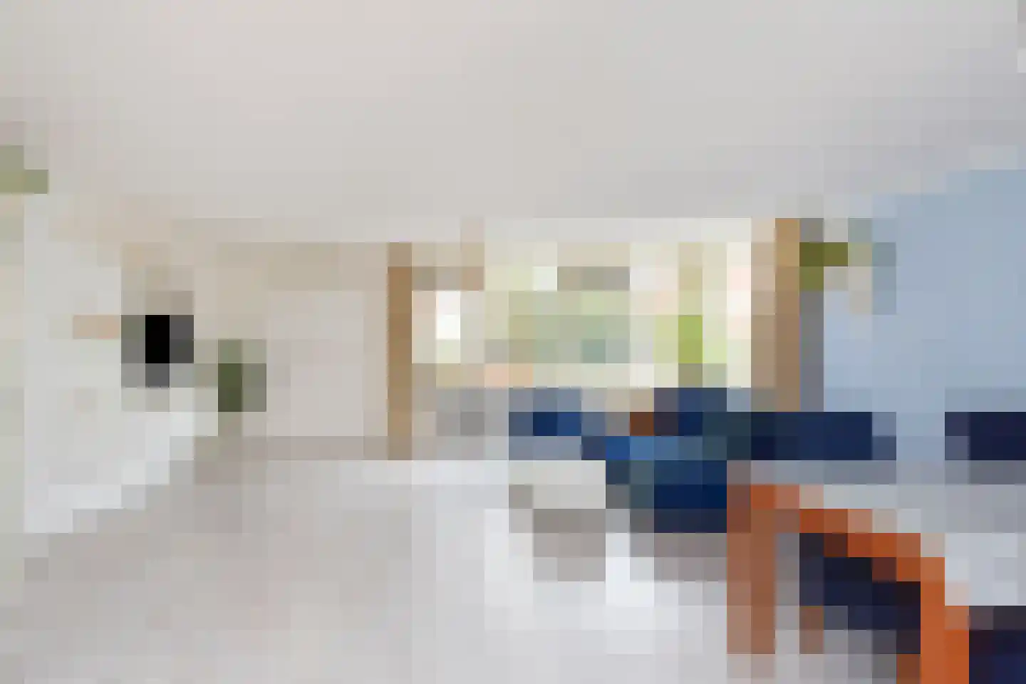Berkenbosch Blokstraat 81 Den Haag thumbnail 6