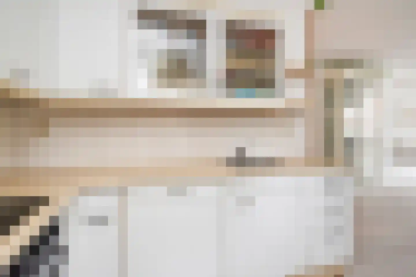 Berkenbosch Blokstraat 81 Den Haag thumbnail 8