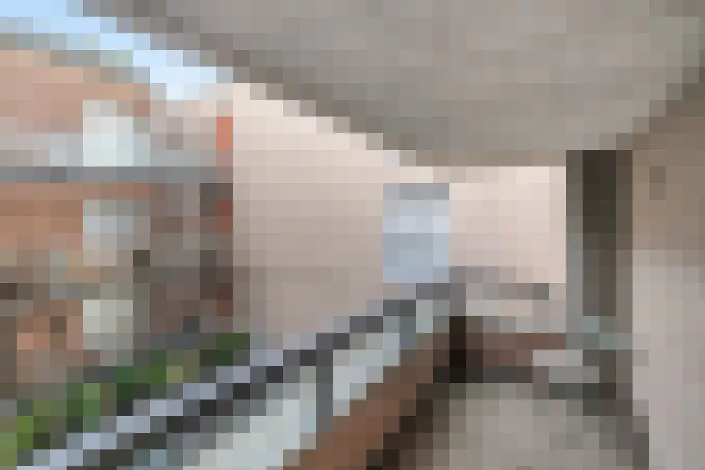 Berkenbosch Blokstraat 85 Den Haag thumbnail 21