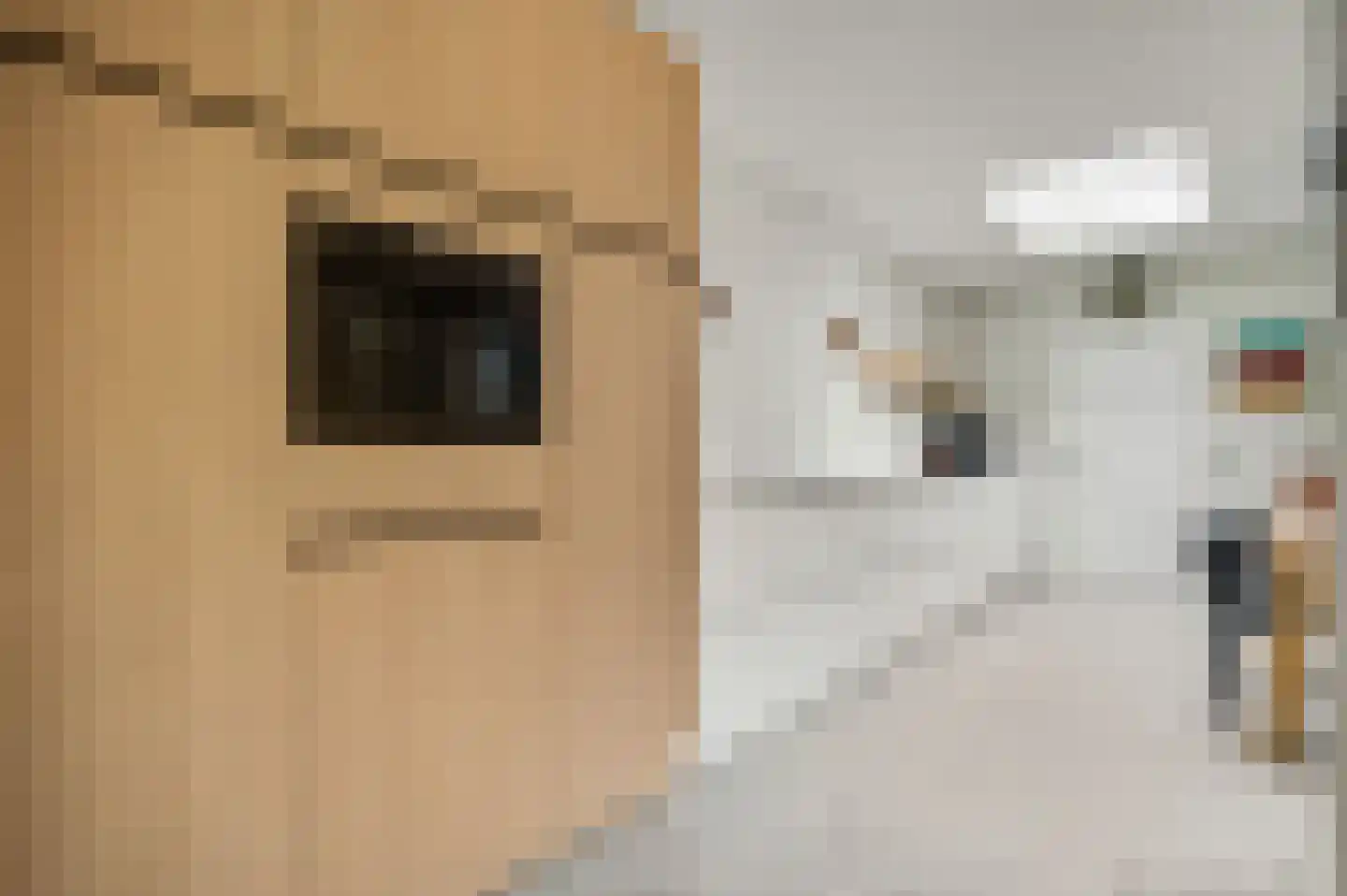 Berkenboslaan 12 Beek thumbnail 14