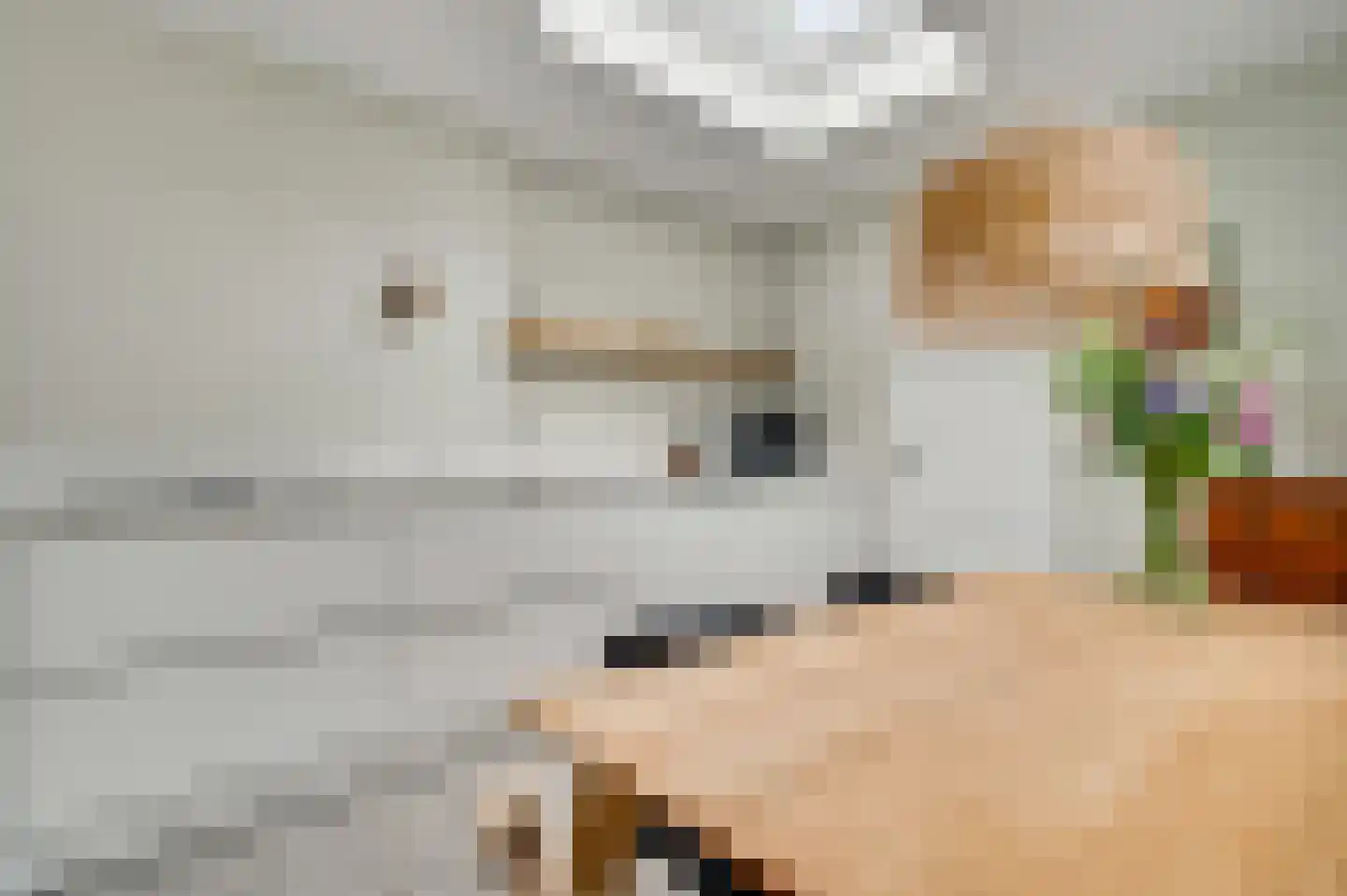 Berkenboslaan 12 Beek thumbnail 16