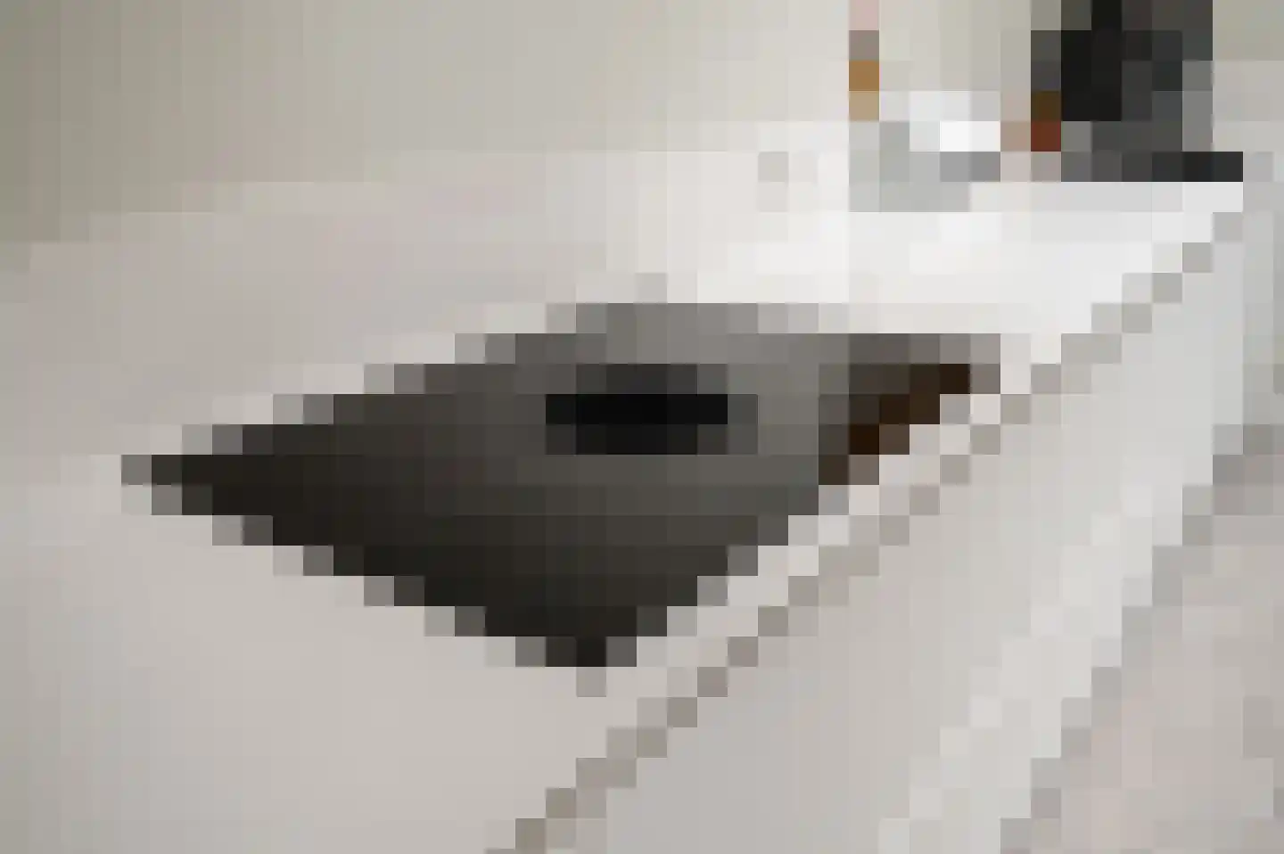 Berkenboslaan 12 Beek thumbnail 17