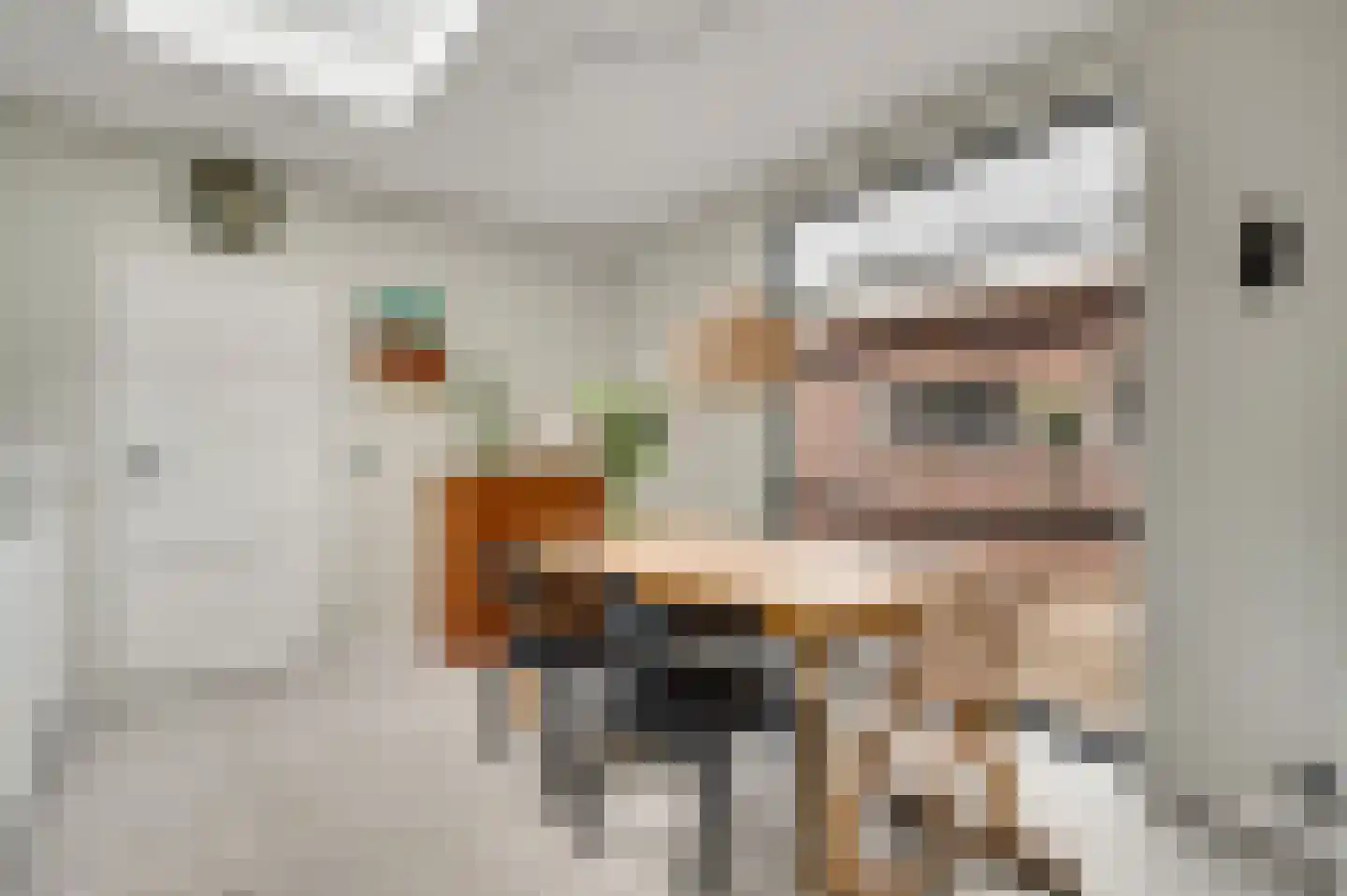 Berkenboslaan 12 Beek thumbnail 18