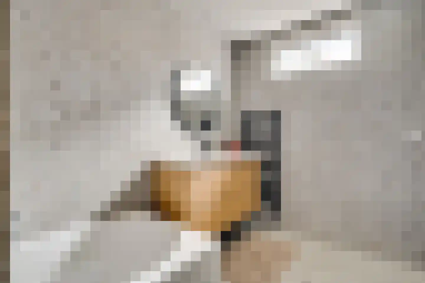 Berkenboslaan 12 Beek thumbnail 23