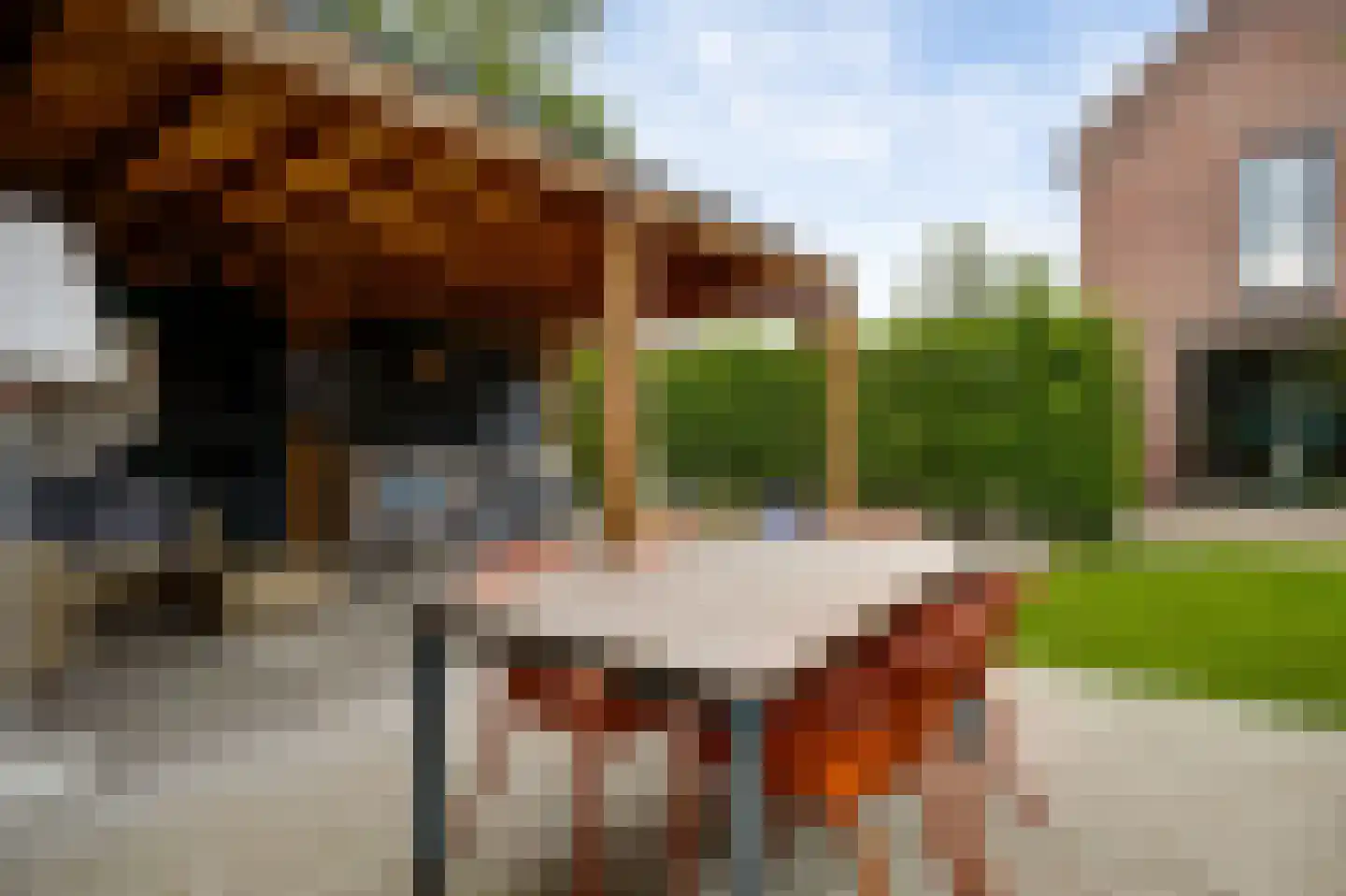 Berkenboslaan 12 Beek thumbnail 36