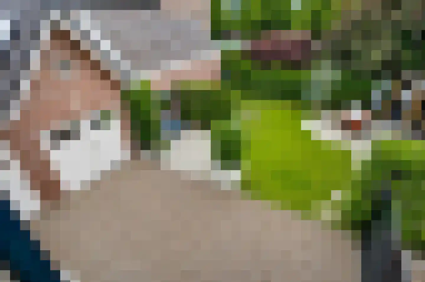 Berkenboslaan 12 Beek thumbnail 40