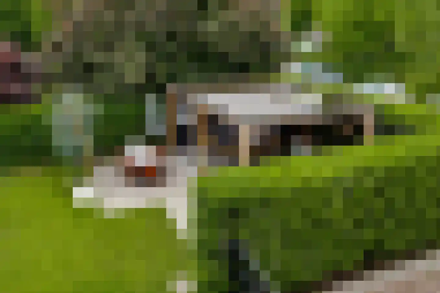 Berkenboslaan 12 Beek thumbnail 41