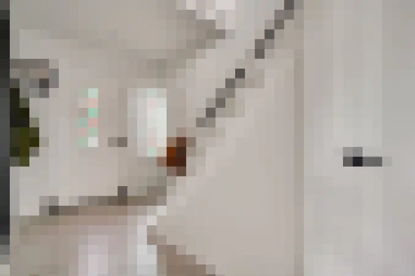 Berkenboslaan 12 Beek thumbnail 7